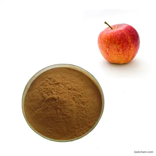 GMP manufacturer supply Apple Extract Powder Apple Polyphenol