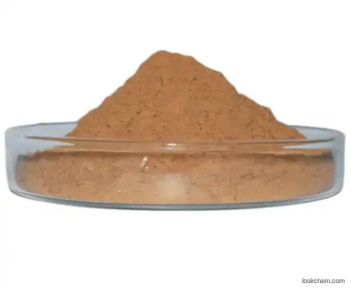 GMP manufacturer supply Apple Extract Powder Apple Polyphenol