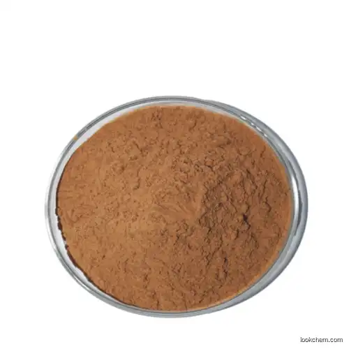GMP manufacturer supply Apple Extract Powder Apple Polyphenol