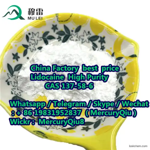 Top Sales  White Powder 137-58-6 USA Warehouse Lignocaine Lidocaine Base