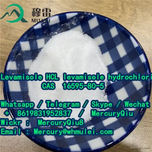 High Quality Levamisole HCl CAS 16595-80-5 high purity Levamisole Hydrochloride