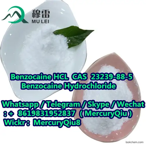 High Purity Pharmaceutical Raw Material Powder Benzocaine HydrochlorideAS 137-58-6