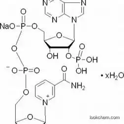 GMP Manufacturer supply Apple extracts  Apple Polyphenol supplier