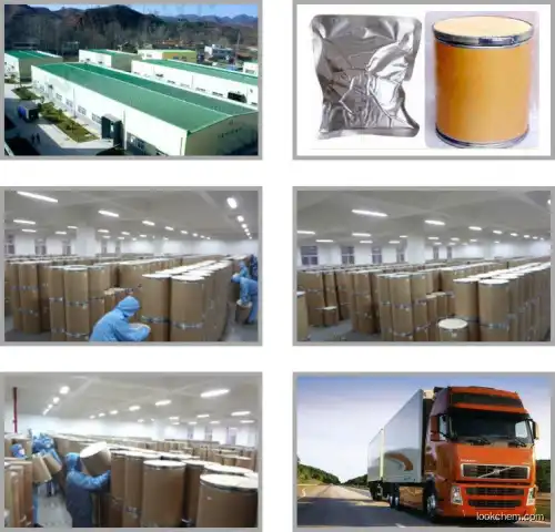GMP Manufacturer supply Apple extracts  Apple Polyphenol supplier