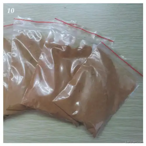 GMP Manufacturer supply Apple extracts  Apple Polyphenol supplier