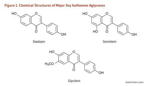 80% Isoflavone Soybean Extract  CatheRine Genistein/Soy Isoflavone Powder Soybean Extract