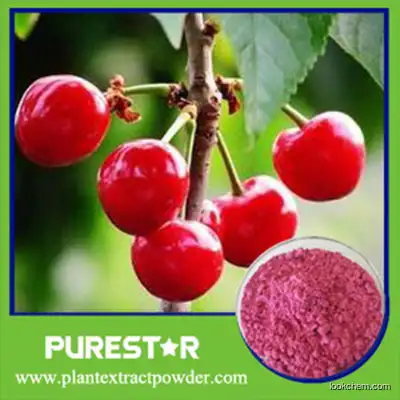 Acerola Cherry Extract Vitamin C 17%,25%