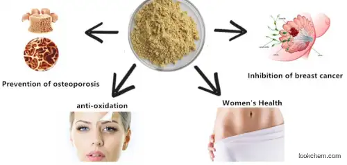 GMP Manufacturer Soybean Extract Isoflavones Powder 8%20%40% USP Standard