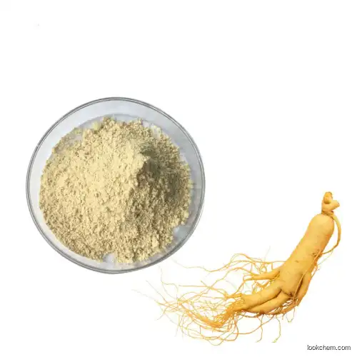 Ginseng Root Extract Powder  panax ginseng