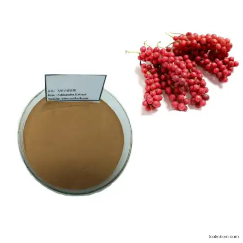 GMP factory Schisandra Extract Schisandrins Schisandra Extract Schisandra Chinensis Seed Extract Schisandrins