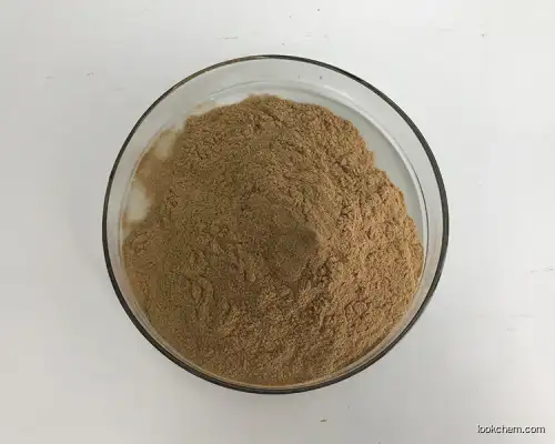 Fenugreek Extract Fenugreek Extract SOST Fast Shipping GMP China Product Black Fenugreek Extract Powder