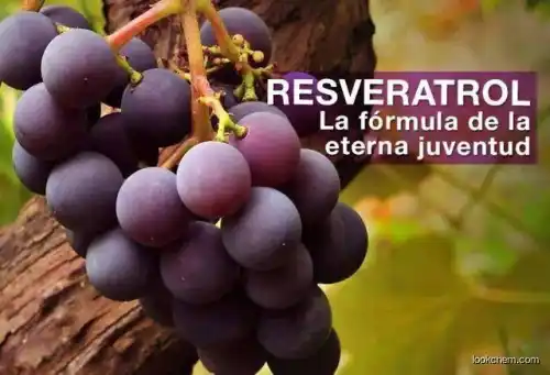 l 2021 Newest Price Natural Water Soluble Resveratrol Plant extracts Synthetic 98% trans resveratrol bulk powder