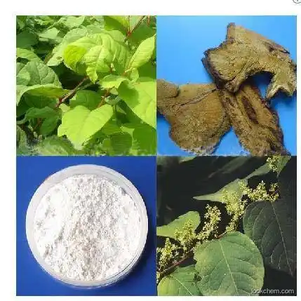 l 2021 Newest Price Natural Water Soluble Resveratrol Plant extracts Synthetic 98% trans resveratrol bulk powder