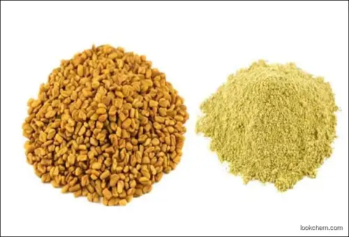 100% natural Fenugreek extract powder, Fenugreek powder,Fenugreek powder extract