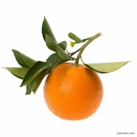 Natural Sweetener Citrus Aurantium Extract /Bitter Orange Extract Powder Neohesperidin