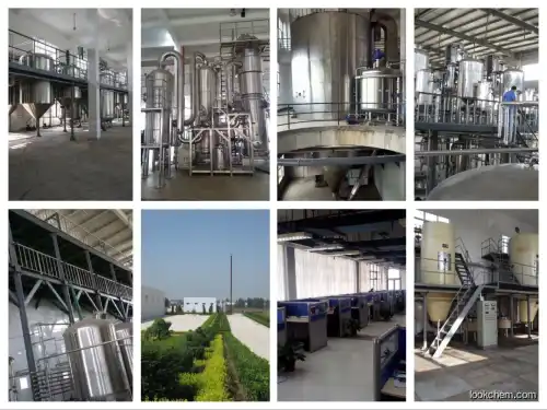 GMP Factory Supply High Quality Soy Isoflavone