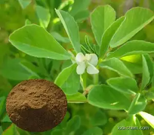 Fenugreek Extract Best Quality 100% Natural Fenugreek Extract