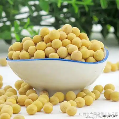 Non GMO Soybean Extract Powder 80% Soy Isoflavone