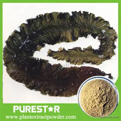 Brown Seaweed extract Fucoidan