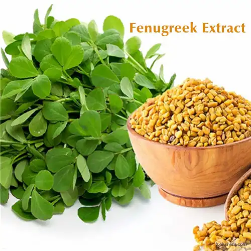 Natural Furostanol Saponins Fenugreek Seed Extract