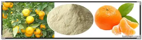 Natural Aurantium Extract Powder 98% Citrus Nobiletin