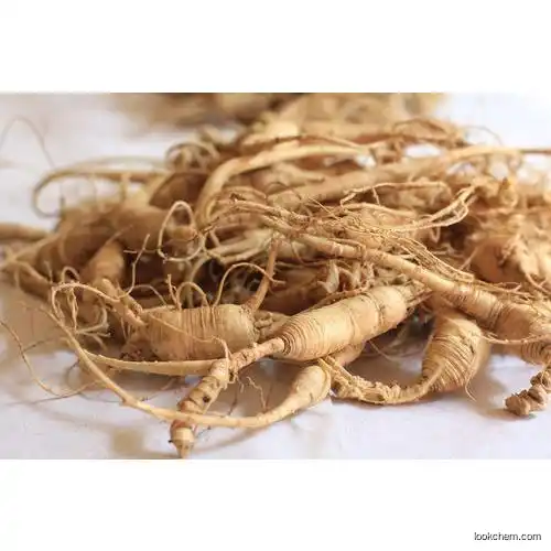 Factory supply Panax ginseng extract 80% ginsenoside powdernseng Extract Powder