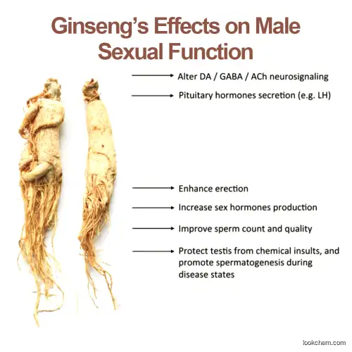 Halal panax ginseng extract 10% to 80% siberian ginseng root extract free sample korean ginseng extract powder