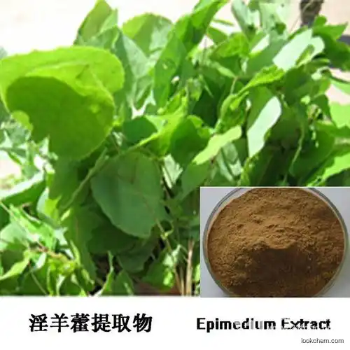 Horny Goat Extract/Epimedium Powder Stimulate Androgen Pheromone