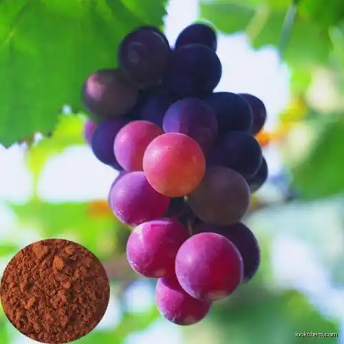 100% Natural Manufactures Private Label Superfoods Anthocyanin 95% in Powder Water Soluble Grape Seed Extracts