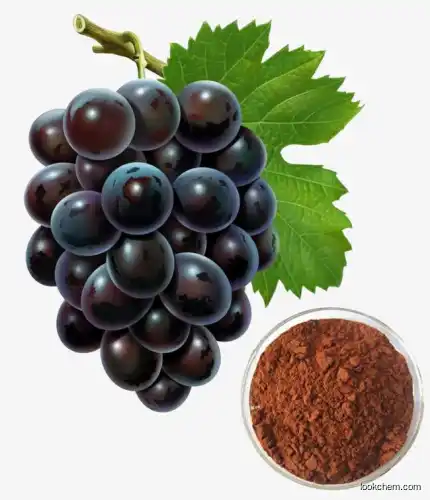 100% Natural Manufactures Private Label Superfoods Anthocyanin 95% in Powder Water Soluble Grape Seed Extracts