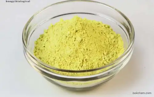 Factory supply Baicalin Extract Baicalin powder 90%