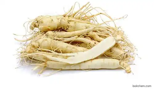 Panax Ginseng Root Extract Powder