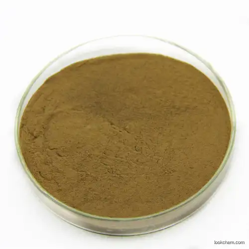 Fenugreek Extract 10%-98% Natural Plant Extract Pharmaceutical