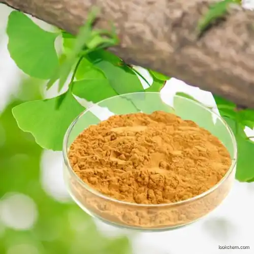 High quality extract ginkgo biloba powder