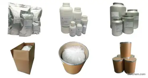 High quality extract ginkgo biloba powder