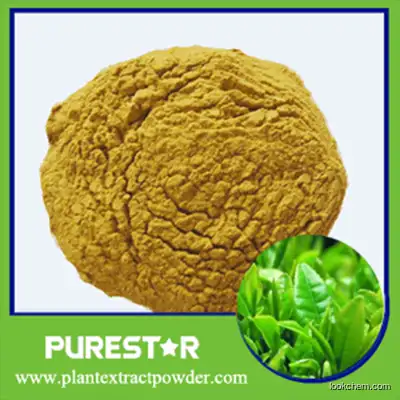 Green Tea Extract(Polyphenol,Catechins,EGCG)