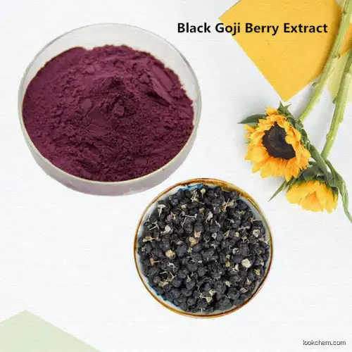 New Product Black Goji Berry Extract Anthocyanin Powder