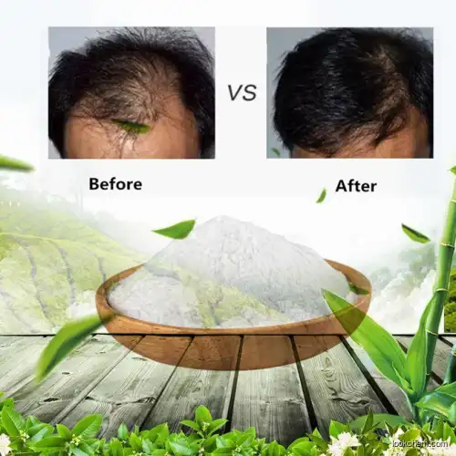 Supply Anti Hair Loss Good Effect Pyrrolidinyl Diaminopyrimidine Oxide powder 55921-65-8 / 2 4-DIAMINO PYRIMIDINE-3-OXIDE55921