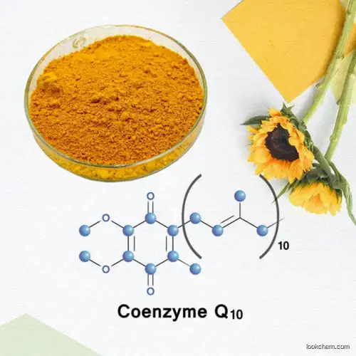 Best Quality Water Soluble and Liposoluble Coenzyme Q10 Powder/ Q10 Coenzyme Capsule with Low Price