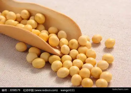 Soybean Isoflavone extract powder, Natural water soluble Soy Isoflavone 20% 40% 60%