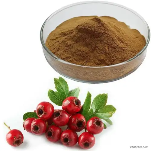 Hawthorn Extract haw apple extract powder Hawthorn berry extract powder