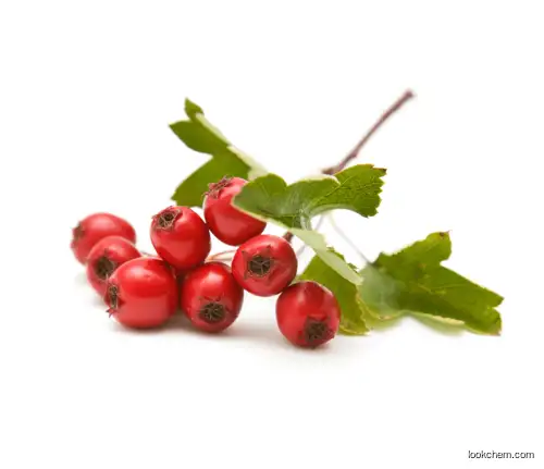 Hawthorn Extract haw apple extract powder Hawthorn berry extract powder