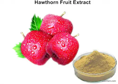 Hawthorn Extract haw apple extract powder Hawthorn berry extract powder
