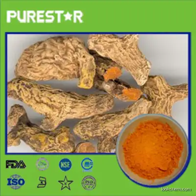 Turmeric Root Extract,Curcumin