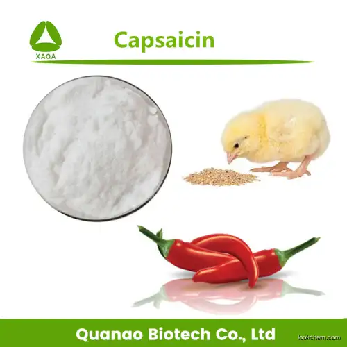 100% Pure Natural Chili Pepper Extract Capsaicin 99% Powder