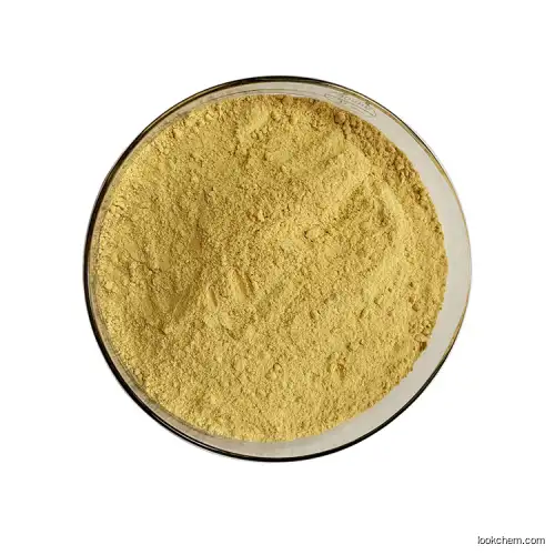 Factory supply 98% purity Soybean Lecithin powder cas:8002-43-5