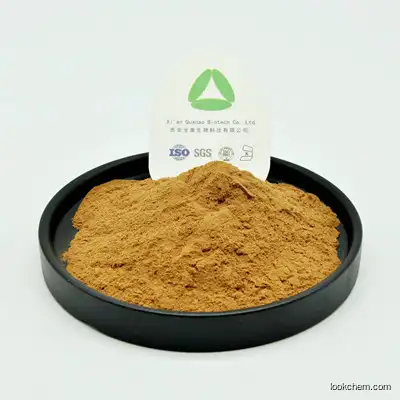 QA Factory Supply Lion's Mane Mushroom Extract10%-50% Polysaccharide