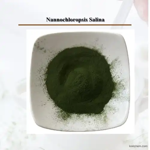 Top Quality Organic Nannochloropsis Powder Nannochloropsis Salina Powder