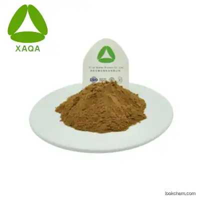 High Quality 24% Flavone 6% Lactone Natural Ginkgo Biloba Extract 10:1Powder