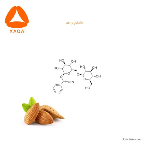 Natural Ease pain anti-cancer Bitter apricot kernel extract Amygdalin / Vitamin B17 powder 98%